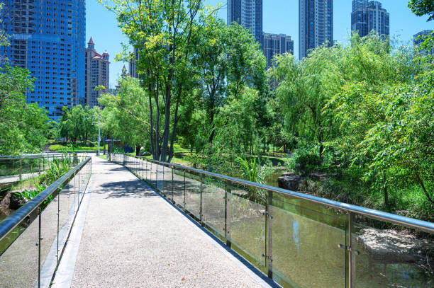 istock Footbridge through the lush green park 2199915645