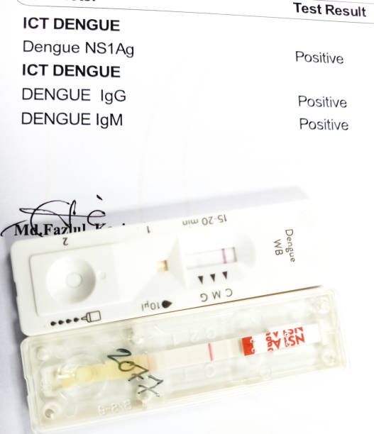 istock Dengue Rapid Combo Test Kit positive result background. 2199915727