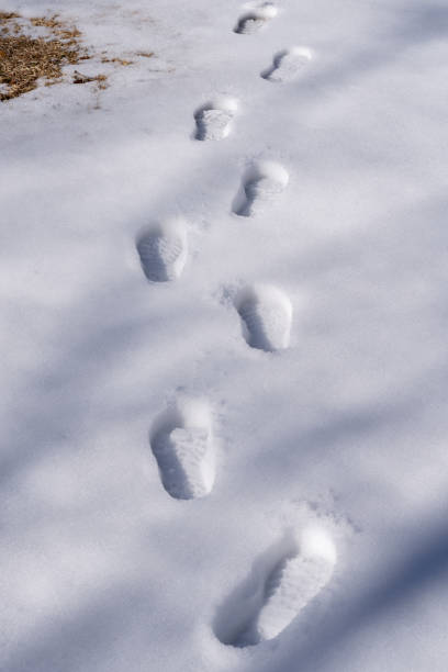 istock A winter landscape with footprints floating on snow and natural textures. 2199918940