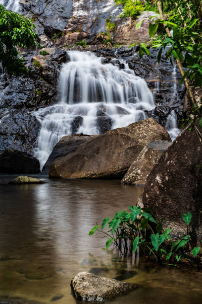 istock A cascading TON PLIO waterfall flows over smooth, dark rocks in a lush green forest. The water creates a silky, ethereal effect due to long exposure photography.  Rattaphum,Songkhla,Thailand. 2199919134