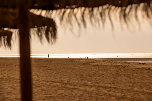 On Se[tember 19th 2024 in Isla Canela, Huelva, Spain, a mesmerizing sunset paints the sky in vibrant hues over the sand, creating a picture-perfect coastal setting.