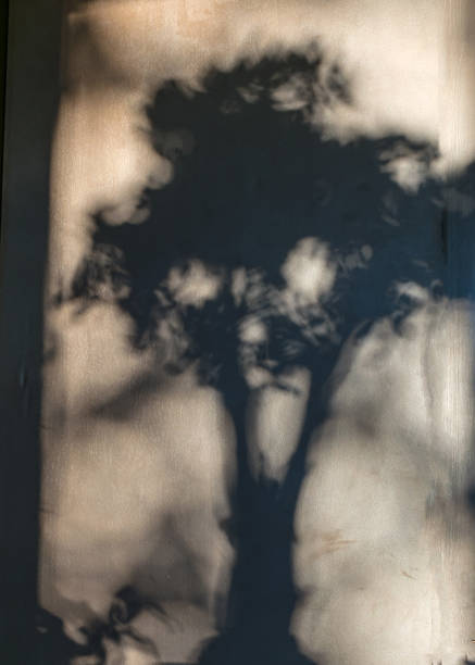 istock abstract play of light and shadow on the wall, textura 2199926324
