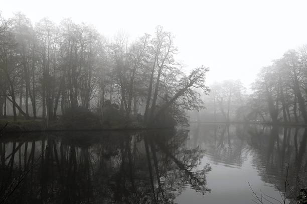 istock A foggy day in a park 2199931848