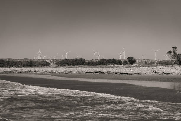 Windmills on the Atlantic ocean coast in Morocco