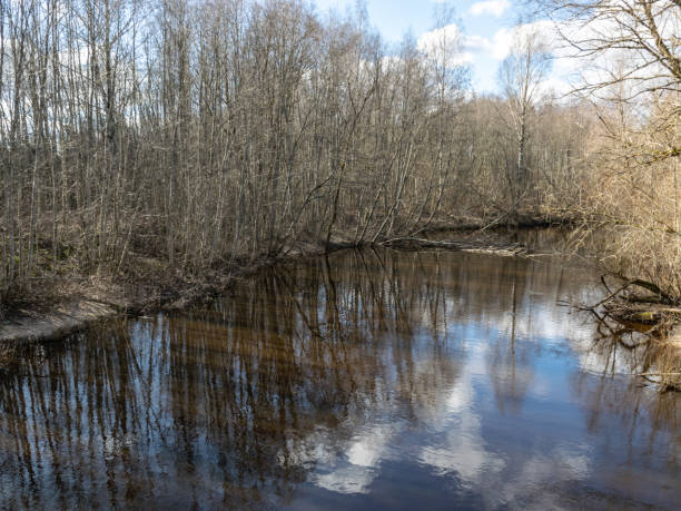 istock river view from the bridge, small river in early spring, blue sky and reflections in the water 2199935484