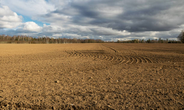istock cultivated field, a freshly tilled field 2199935962