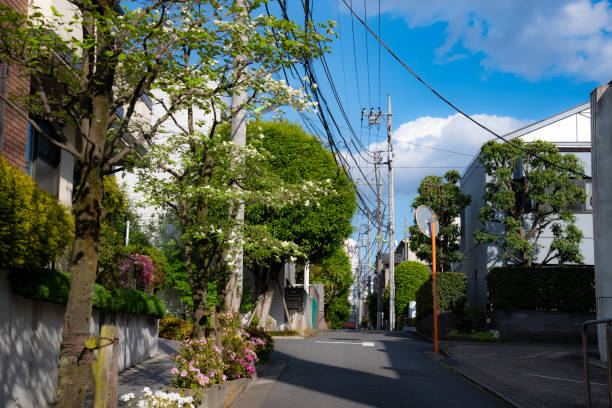 Everyday life in Setagaya, Tokyo