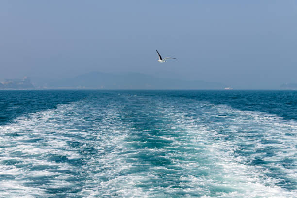 seascape from the sailboat