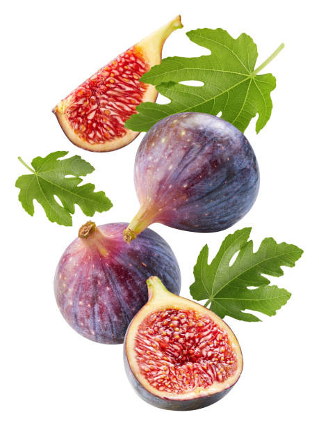 istock Ripe fig fruits on the white background 2199951099