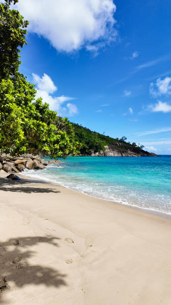 istock Scenic tropical beach with tree shade and turquoise sea, Seychelles, Mahe. 2199954701