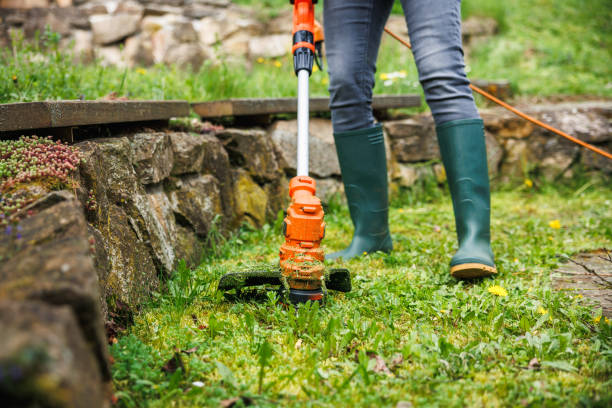 istock Woman gardener is cutting grass next stone wall in garden 2199962010