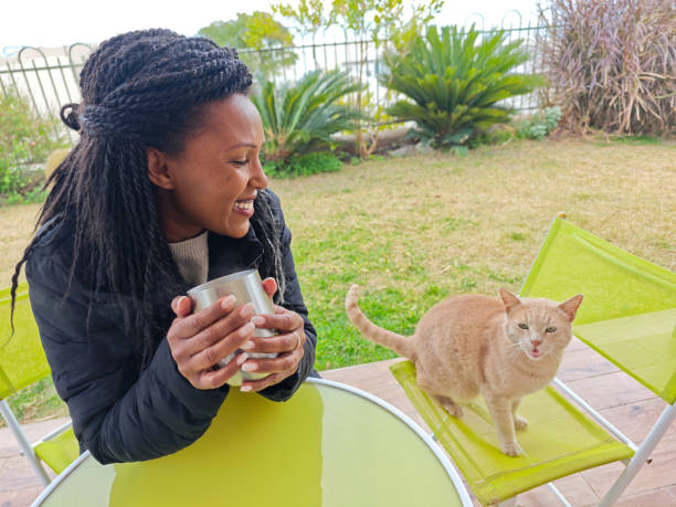 istock Warm Moments with a Feline Friend. 2199963894