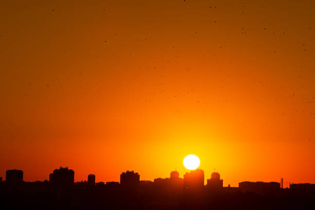 Big sun at sunset on the city skyline, Belgrade in Serbia.
