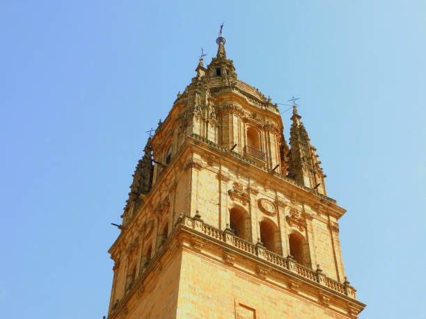 The Cathedral of the Assumption of the Virgin, popularly called the New Cathedral, is, along with the Old Cathedral, one of the two cathedrals in the city of Salamanca, Spain. It is the seat of the diocese of Salamanca. It was built between the 16th and 18th centuries, mixing late Gothic, Renaissance and Baroque styles.