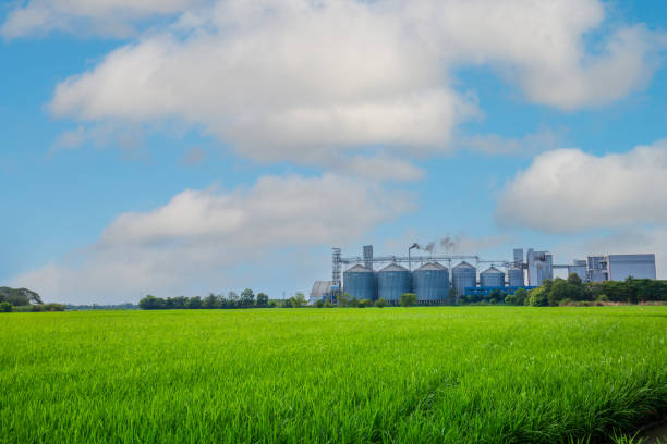 istock ndustrial plants and fields,Industrial plants and green fields,Agricultural industry, modern factory on green area with steel elevator, industrial building and barn under blue sky. 2199981405