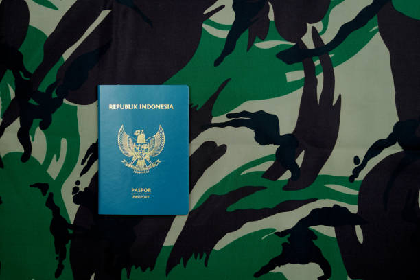 istock Passpor with military background 2199983673