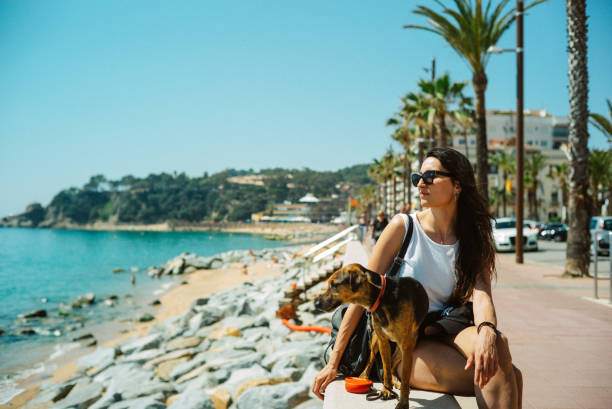 istock Relaxing at the pet friendly beach in Lloret de Mar 2199984940