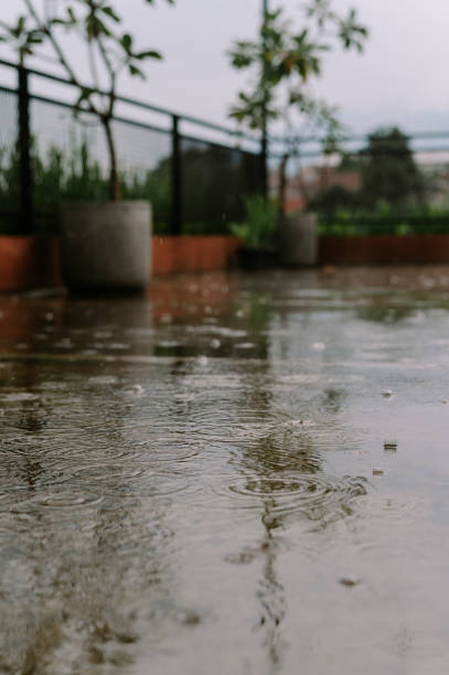 Rainy day ambiance on the balcony, reflective surface and potted greenery