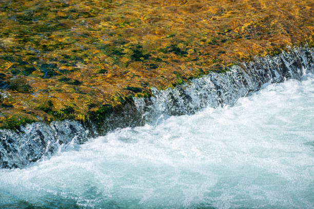 The Spring of Bela Palanka. The limestone composition of the mountain massifs of Suva Planina has formed underground water reservoirs and streams, from which the well-known springs in the municipality of Bela Palanka.
