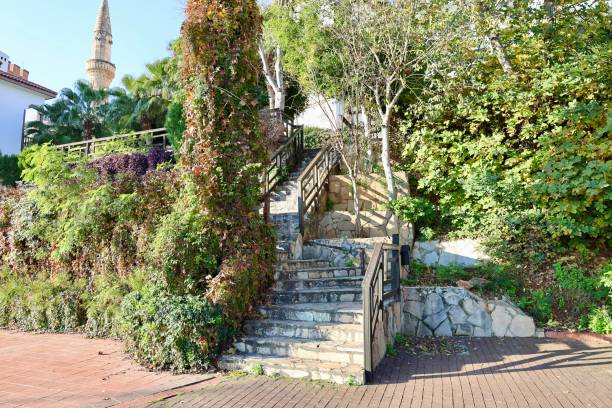 istock Stone steps garden Palm house orchard 2199995350