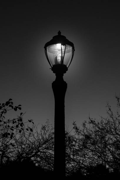 A glowing streetlamp illuminates the night in this black-and-white silhouette. The soft halo contrasts against the dark sky, framed by bare tree branches