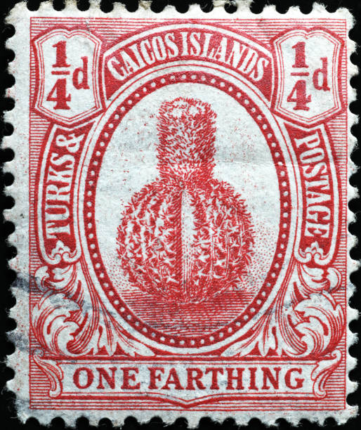 Beautiful cactus on vintage postage stamp from Caicos islands