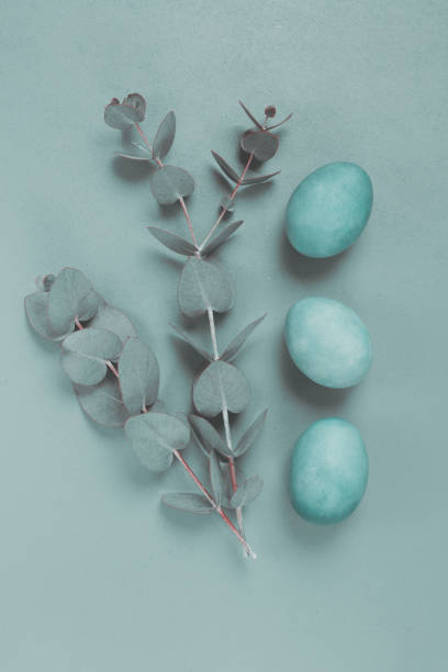 istock composition of eucalyptus leaves and turquoise colored eggs, on a gray background, Easter card, top view, no people, 2200012172