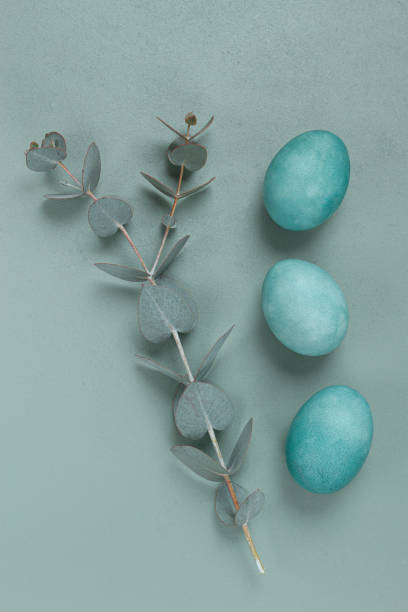 istock composition of eucalyptus leaves and turquoise colored eggs, on a gray background, Easter card, top view, no people, 2200012941