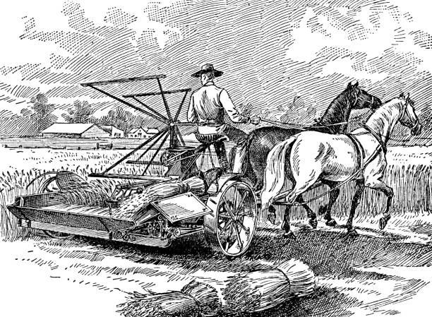 A farmer using the new reaper-binder farm equipment. Vintage etching circa 19th century.