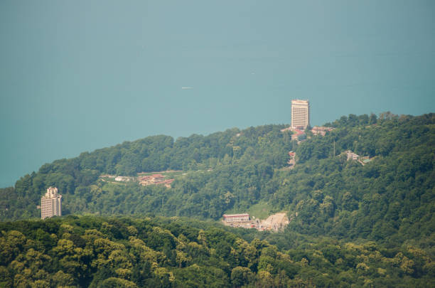 Tall buildings rise from lush, wooded hills under hazy sky. Ocean meets treeline at horizon, creating tranquil blend of nature and architecture. Soft lighting enhances serene, expansive view