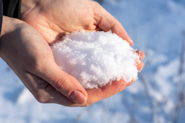 istock Women's hands hold the snow. Winter. Close-up, making a snowball 2200016872
