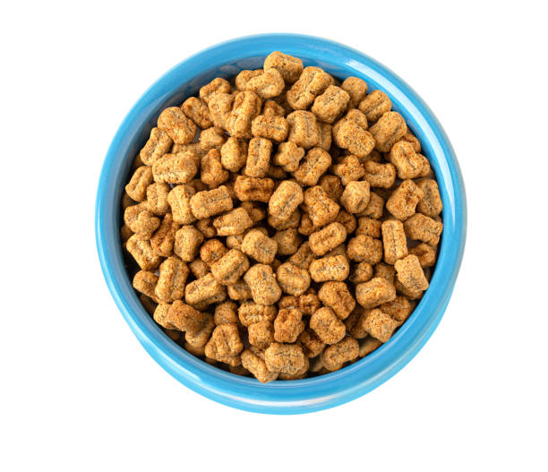 istock Dried kibble pet food 2200018059