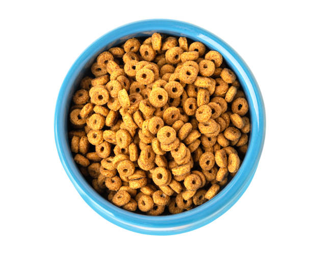 istock Dried kibble pet food 2200018070