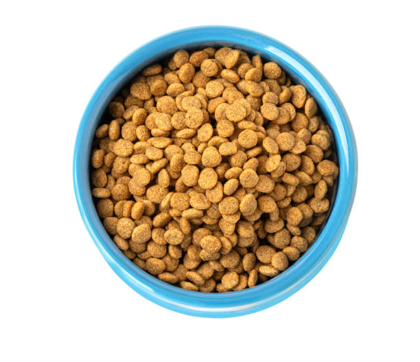 istock Dried kibble pet food 2200018077
