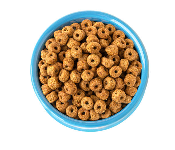 istock Dried kibble pet food 2200018084