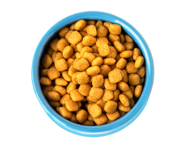 istock Dried kibble pet food 2200018087