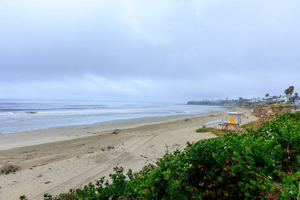 istock Green Cliff and North Pacific Beach, San Diego, California 2200019079