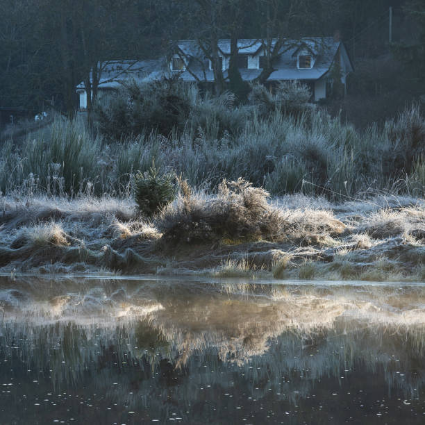 Frosty early morning at the  Sooke River Park on Vancouver Island.