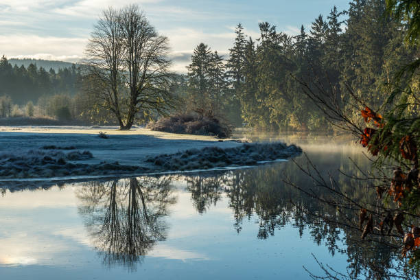 istock Sooke River Park in Winter 2200023215
