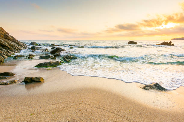 istock summer holiday season at the seaside 2200032508