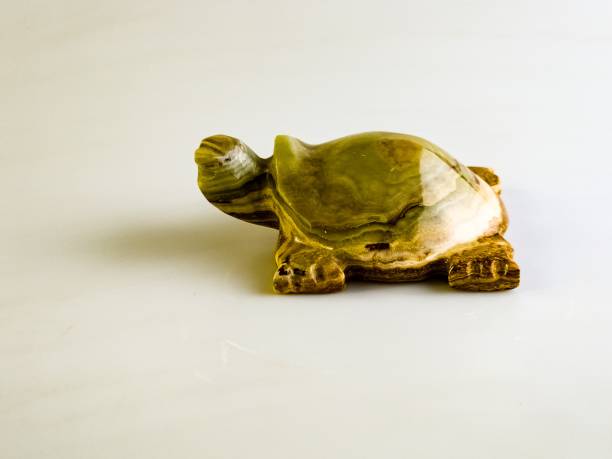 istock Close-up of a onyx turtle bringing good luck on a white background. 2200035521