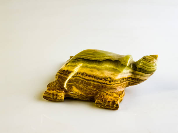istock Onyx turtle bringing good luck on a white background. 2200035523