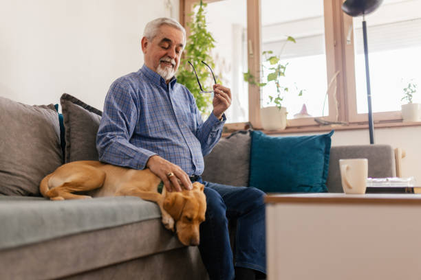 istock Senior man relaxing at home 2200035587