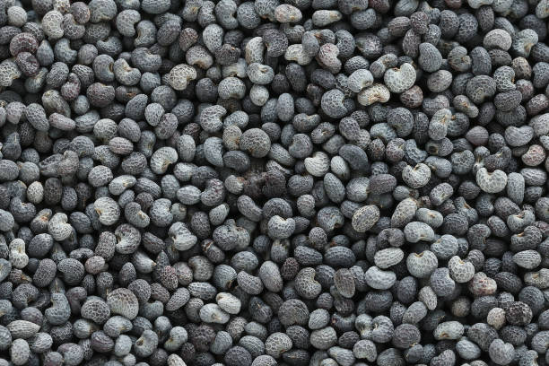 istock Poppy seeds background. Natural abstract background. Flat lay, copy space 2200036876