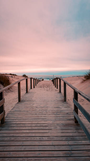 istock footbridge to beautiful beach in Aveiro 2200038603