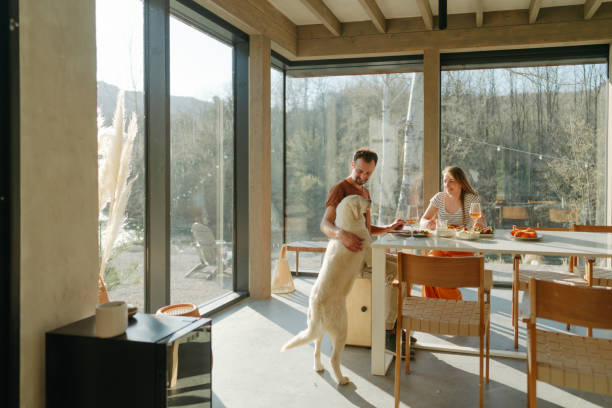 istock Having a brunch in our cabin house 2200041983