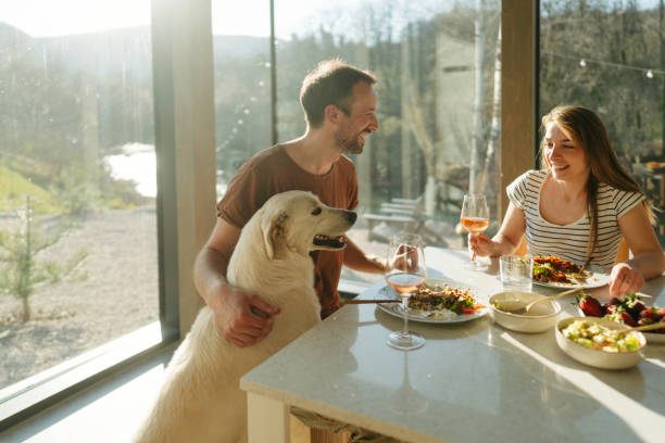 istock Having a brunch in our cabin house 2200042002
