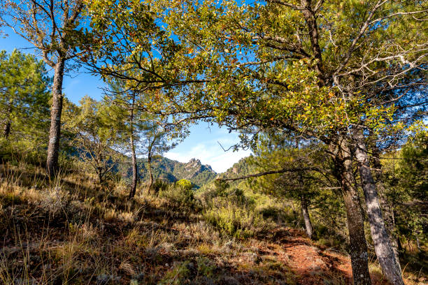 istock Sierra de Alcaraz 2200046706