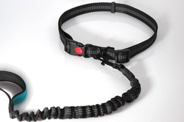 istock Hand free leash, belt for walk with dog, pet accessories 2200047403