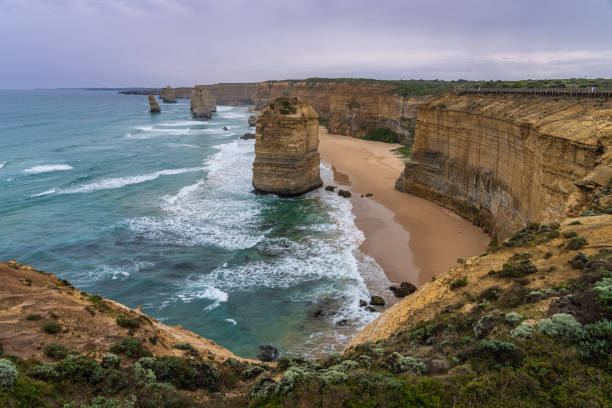 A breathtaking coastal view of the Twelve Apostles along the Great Ocean Road in Victoria, Australia. Towering limestone stacks rise from the turquoise waters as waves crash against the rugged cliffs. The overcast sky adds a dramatic touch to this iconic natural landscape, showcasing the raw beauty of Australia's southern coastline.